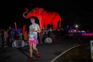 BIB: 
                            <button type="button" onclick="openModal(26551890)" class="btn btn-primary btn-sm float-right btn-popup" data-toggle="modal" data-target=".modal-high-quality">
                        <i class="fas fa-shopping-cart"></i> Add to Cart
                    </button>
                                            <button type="button" onclick="isThisMe(26551890, true)" class="btn btn-success btn-sm float-right btn-popup btn-isme hidden" data-toggle="tooltip" data-placement="bottom" title="นี่คือรูปของคุณใช่ไหม คลิกที่นี่เพื่อเอาเข้าอัลบั้ม">
                        <i class="fas fa-plus"></i> Add to album
                    </button>
                    <button type="button" onclick="isThisMe(26551890, false)" class="btn btn-warning btn-sm float-right btn-popup btn-isnotme hidden">
                        <i class="fas fa-ban"></i> Remove from album
                    </button>